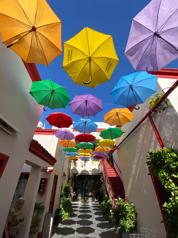 Buenos Aires Private Tour - San Telmo 