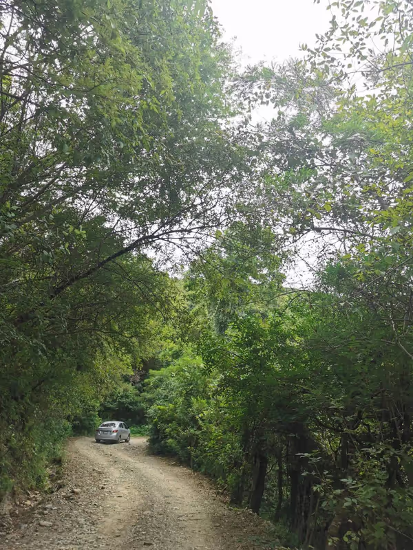 Mexico City Private Tour - Total coexistence with nature.