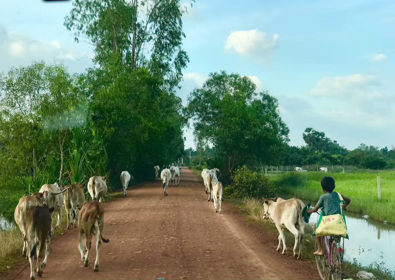 Siem Reap Private Tour - Siem Reap Countryside Tour 