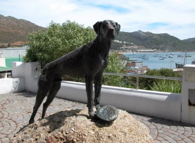 Cape Town Private Tour - 