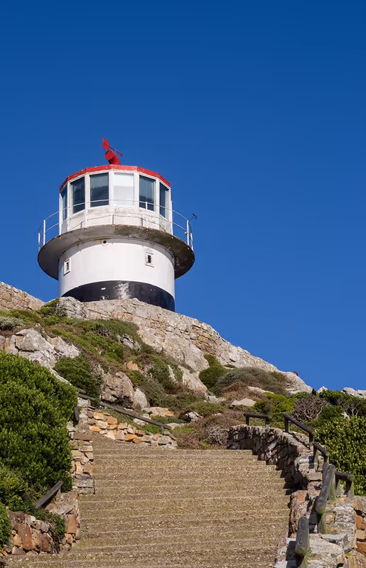 Cape Town Private Tour - 
