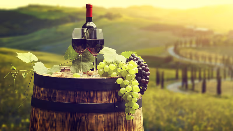 Cape Town Private Tour - Fruit of the vine turned into wine