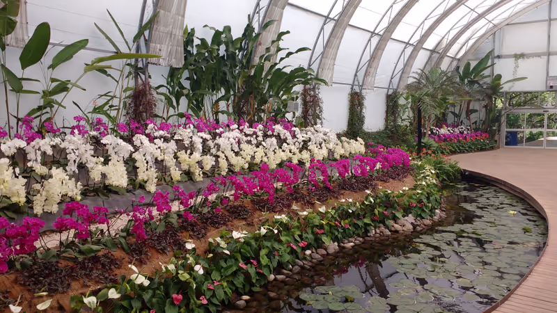 Mexico City Private Tour - Forks in the greenhouse.