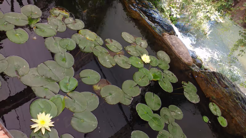 Mexico City Private Tour - Natural environment.