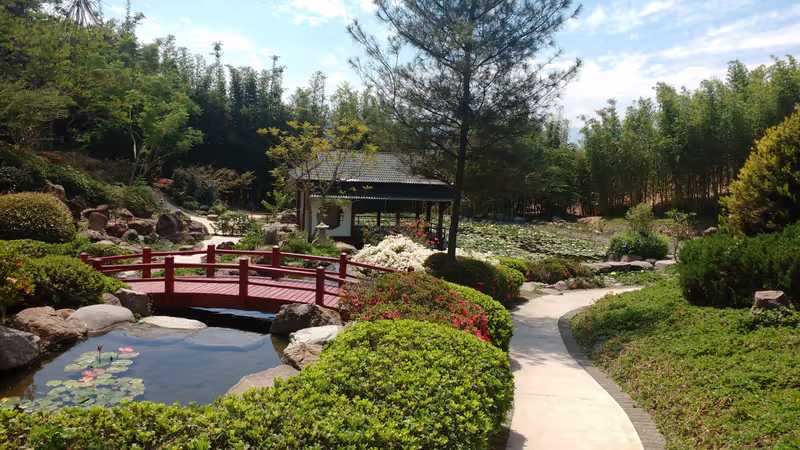 Mexico City Private Tour - Climate and nature.
