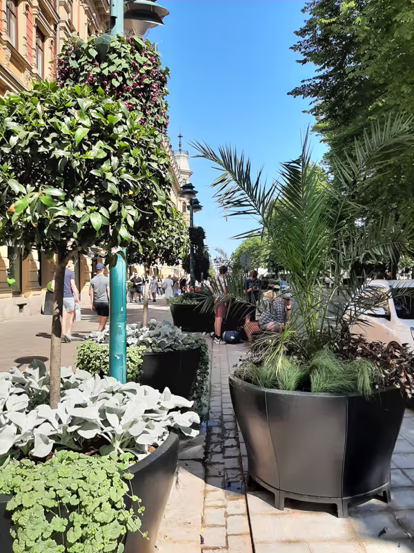 Helsinki Private Tour - Enjoy the leafy parks.