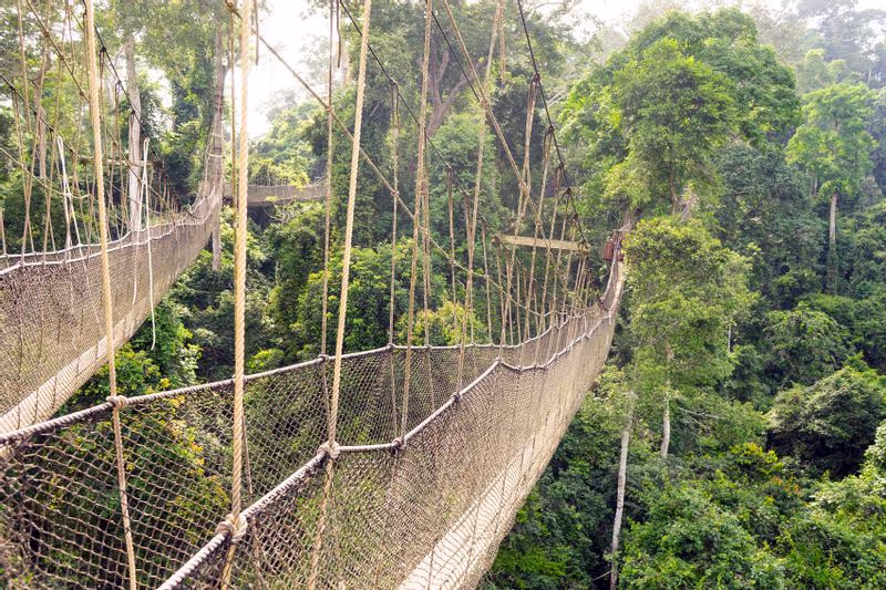 Accra Private Tour - Kakum