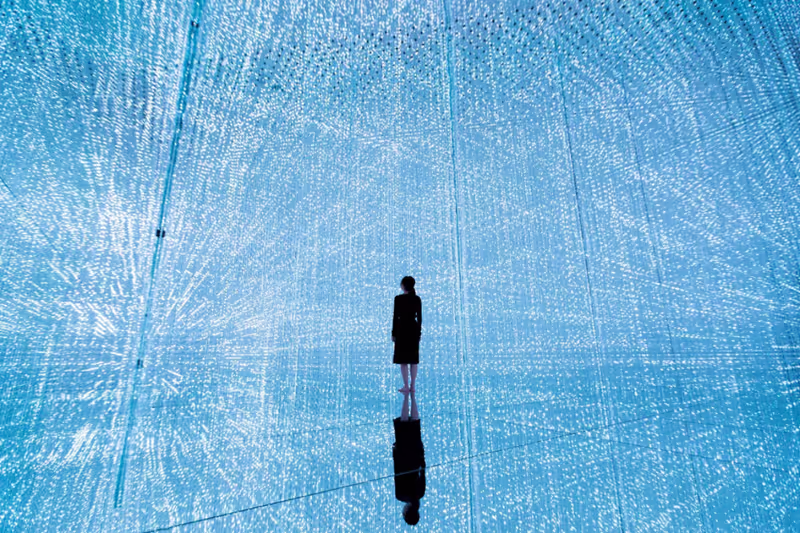 Tokyo Private Tour - teamlab planet