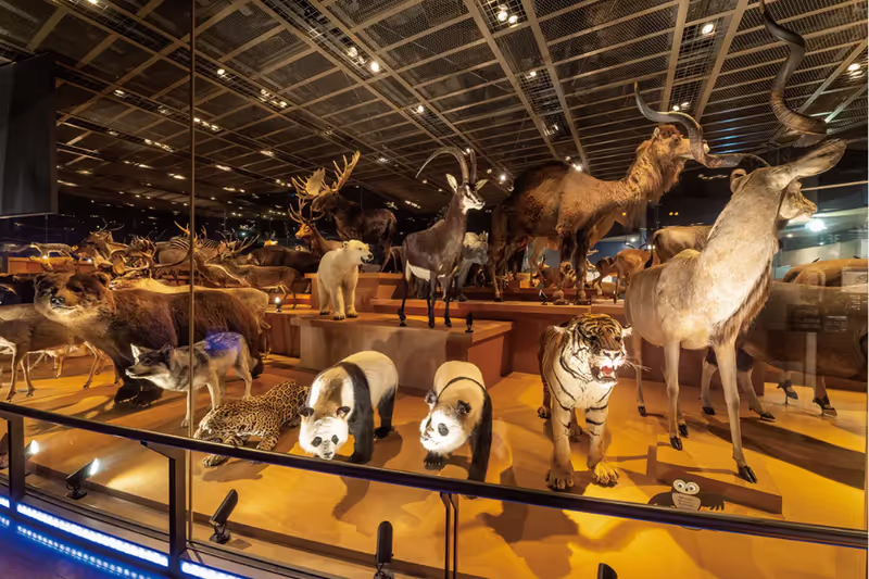 Tokyo Private Tour - national museum of nature and science