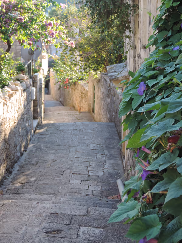 Dubrovnik Private Tour - null