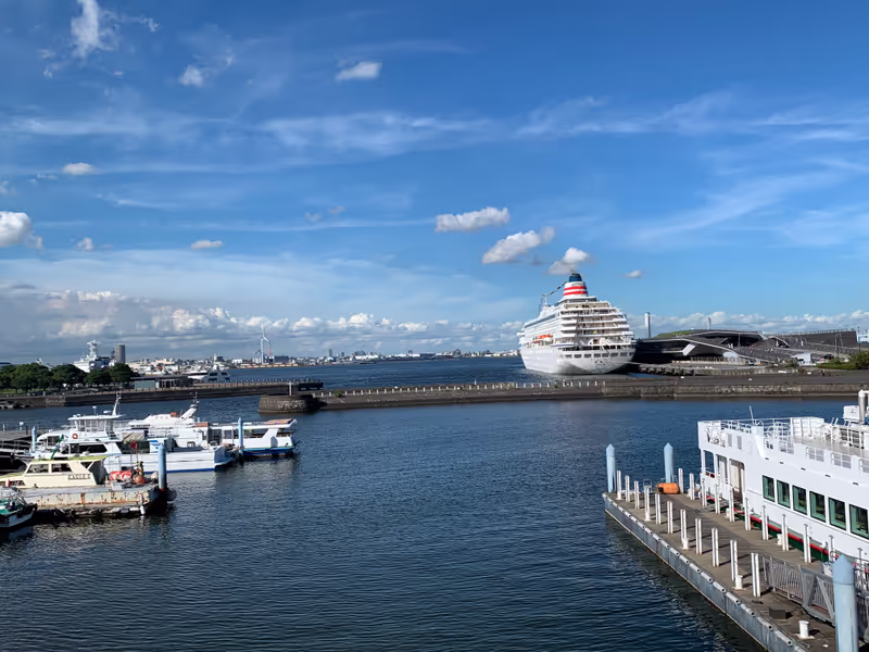 Yokohama Private Tour - Elephant’s Nose Pier