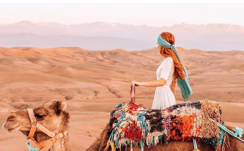 Marrakech Private Tour - null