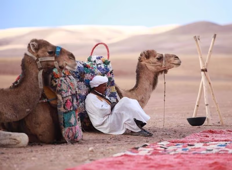 Marrakech Private Tour - null
