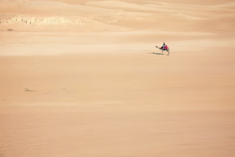 Marrakech Private Tour - null