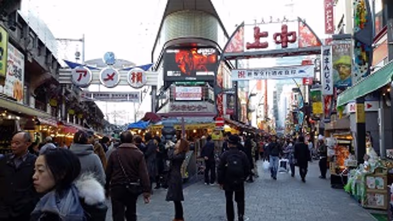 Tokyo Private Tour - Ameyoko : International Shopping mall. Enjoy exotic atmosphere of traditional streets, many shops of which are run by foreign owners.