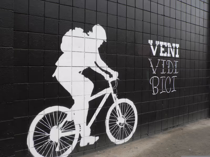 Honolulu Private Tour - Murals and building size street art in Kaka'ako,