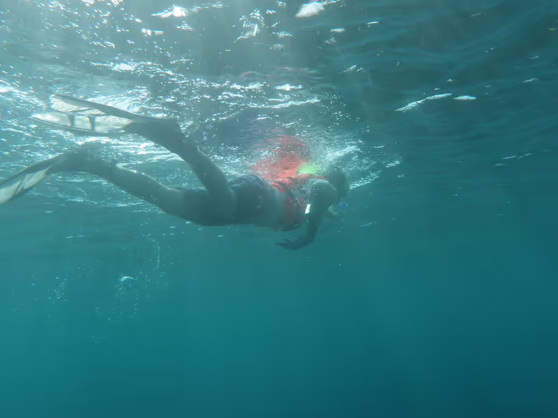 Honolulu Private Tour - Float atop the warm and beautiful water of Hawii