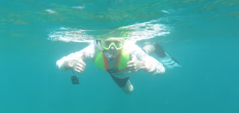 Honolulu Private Tour - Snorkeling safe and easy with life vest