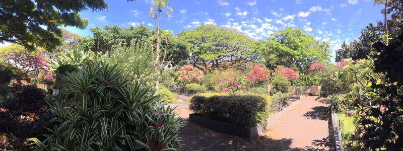 Honolulu Private Tour - One of many beautiful gardens.