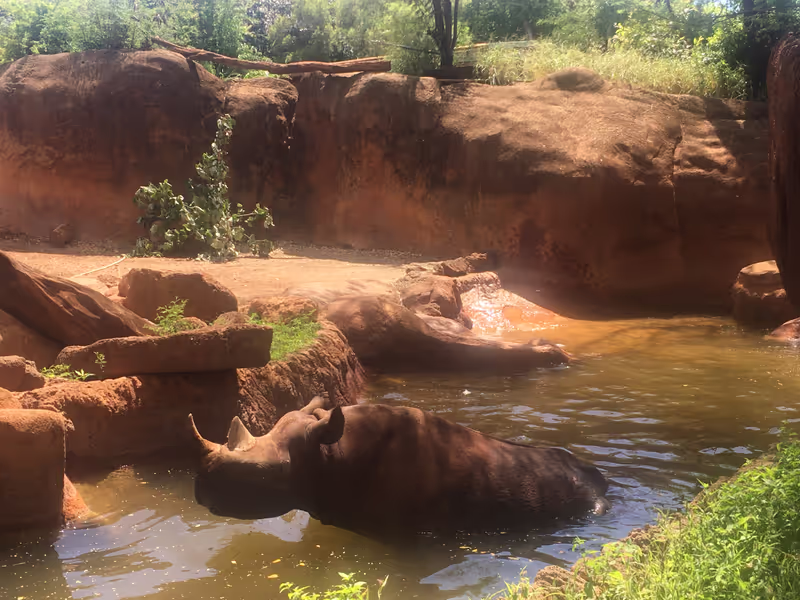 Honolulu Private Tour - Rhino bath in the shade