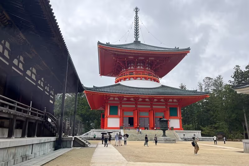 Osaka Private Tour - null