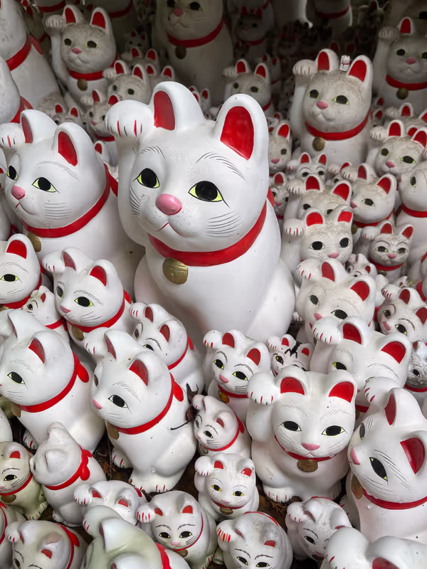Tokyo Private Tour - Maneki-neko at Go-toku-ji temple