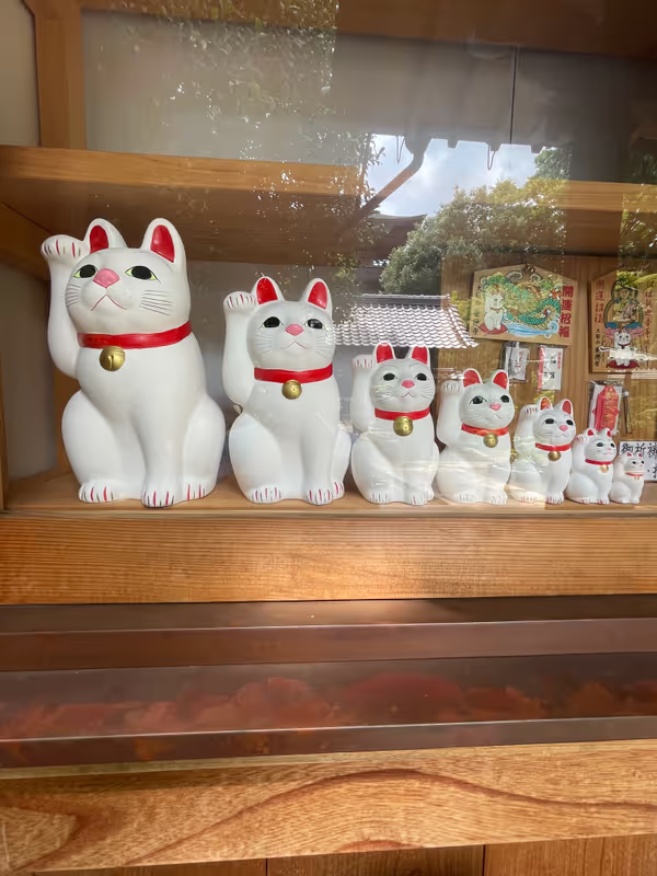 Tokyo Private Tour - Maneki-neko at Go-toku-ji temple