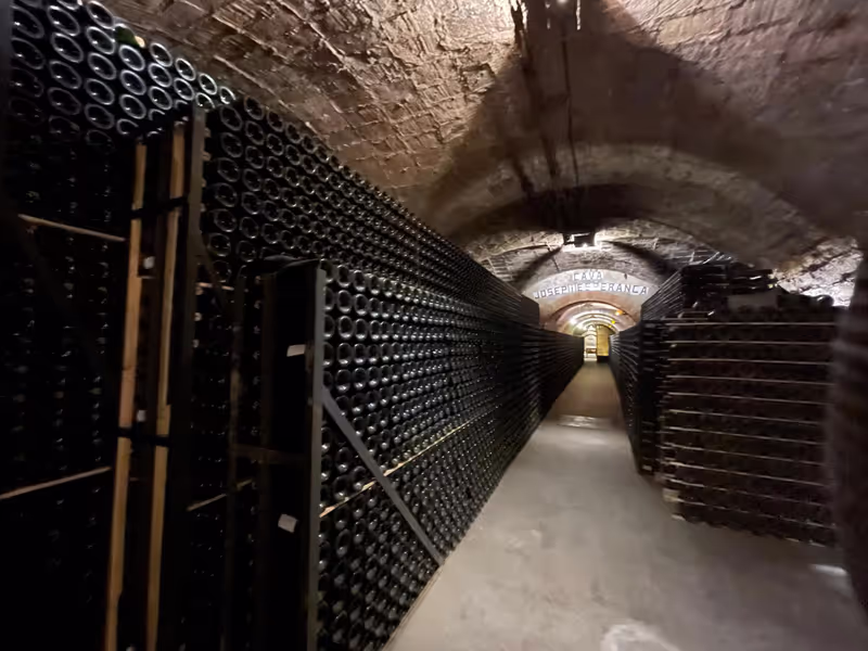 Barcelona Private Tour - null