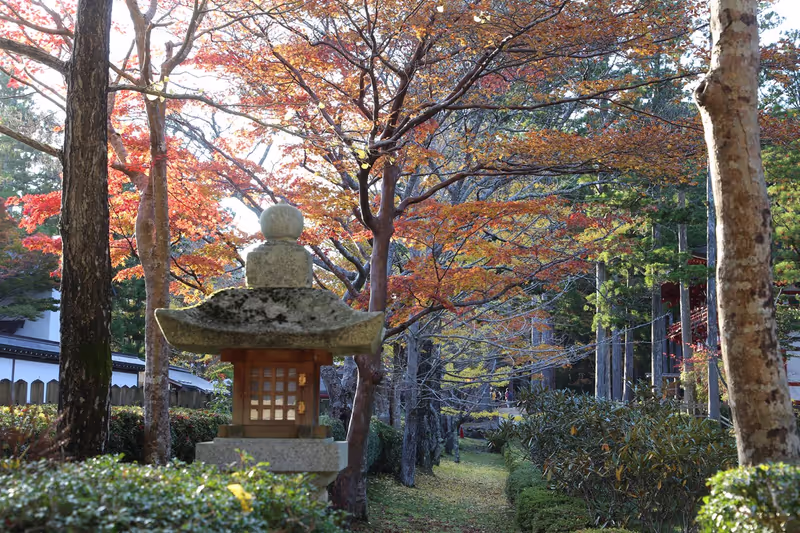 Kyoto Private Tour - Jabara Mich