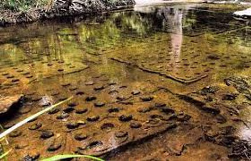 Siem Reap Private Tour - Thousand lingas river
