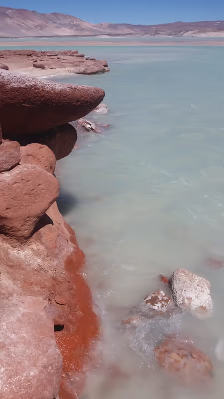Antofagasta Private Tour - Rough Lava and cold water