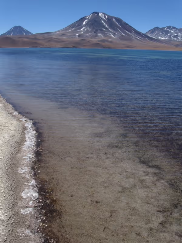 Antofagasta Private Tour - Volcanoes and lagoons in peace