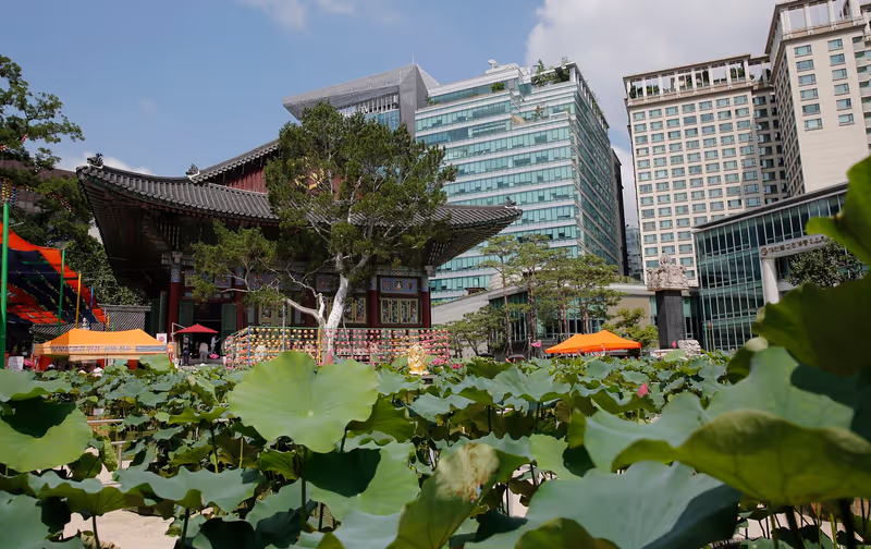 Seoul Private Tour - Jogyesa temple 2 in Summer : 사진출처 : 조계사
