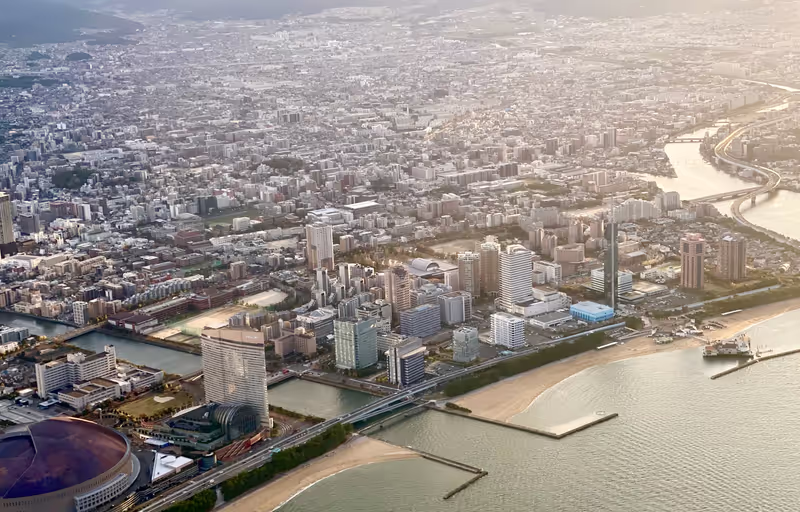 Fukuoka Private Tour - Fukuoka city veiw when landing.