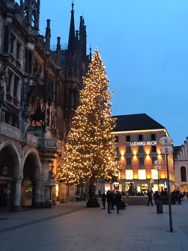 Munich Private Tour - Christmas market (Marienplatz), only from November 28th to Dec. 24th