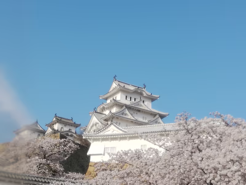 Himeji Private Tour - Himeji Castle