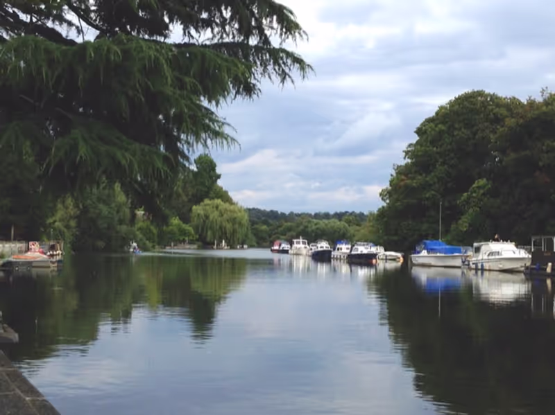London Private Tour - The Thames looking north from Twickenham Quay