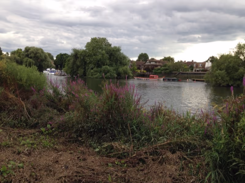 London Private Tour - The Thames Riverside 