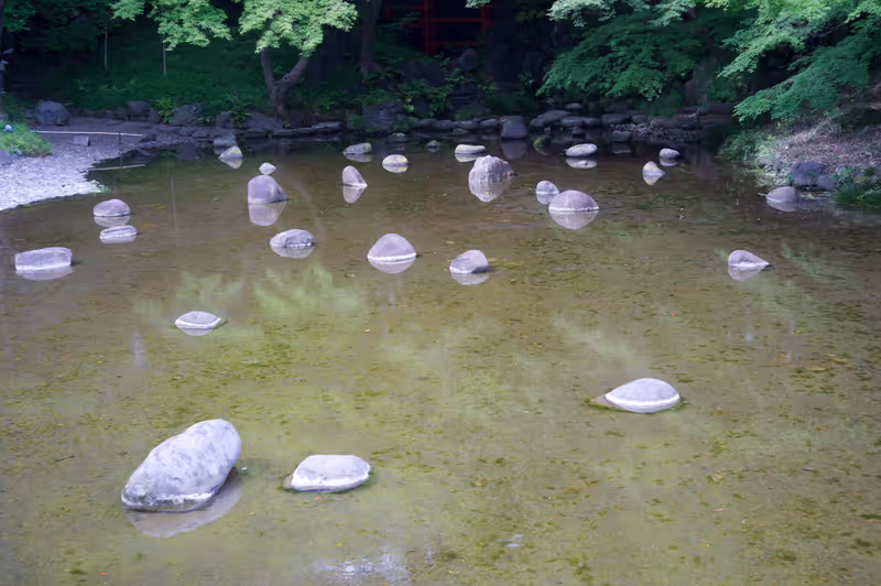 Tokyo Private Tour - null