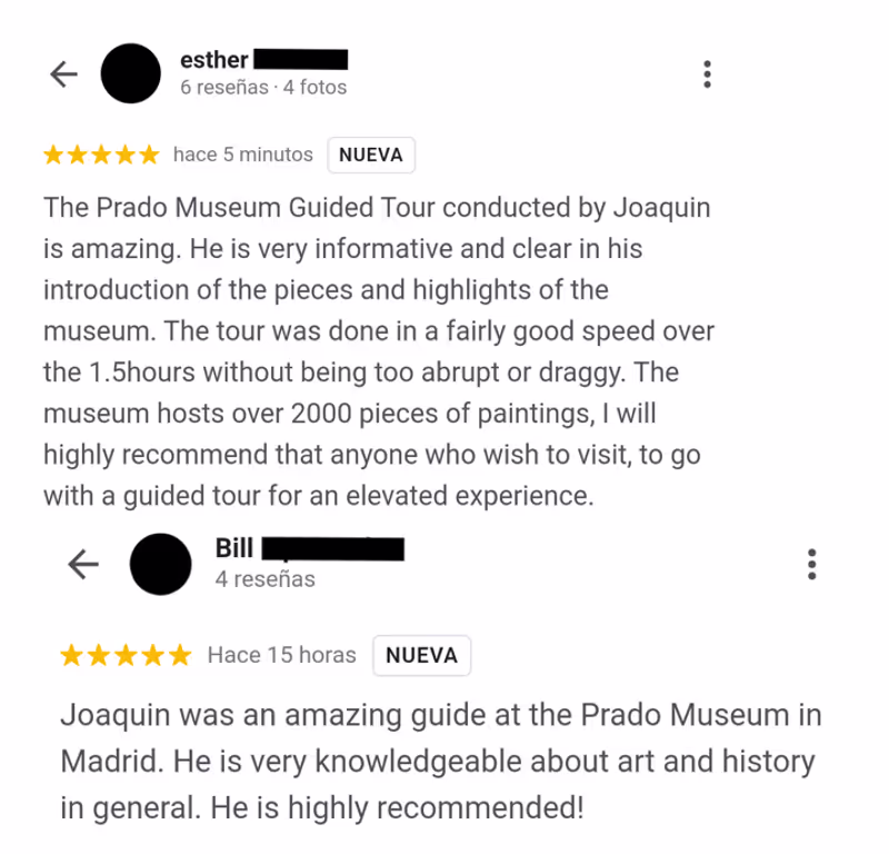 Madrid Private Tour - Reviews from previous tourists on my Prado tour