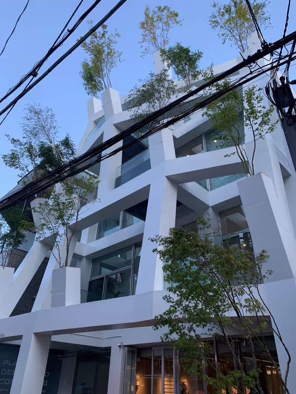 Tokyo Private Tour - Omotesando Branches