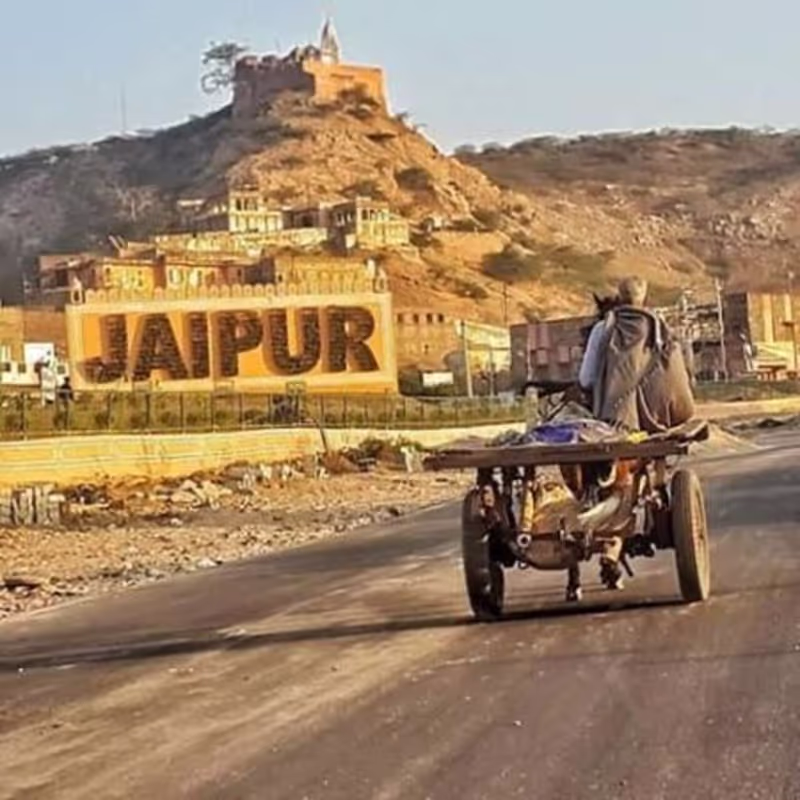 Delhi Private Tour - null