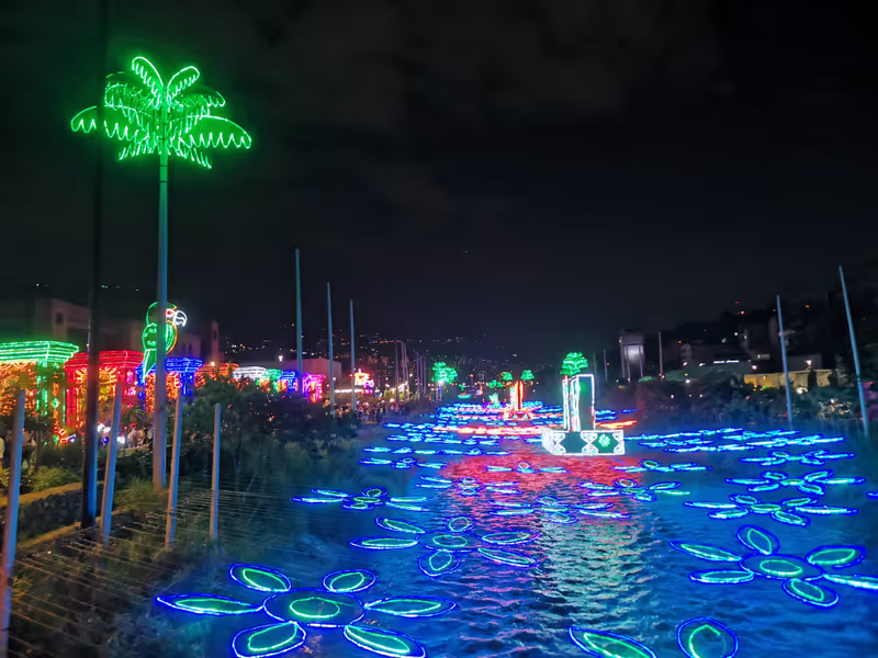 Medellin Private Tour - Chrismas lights