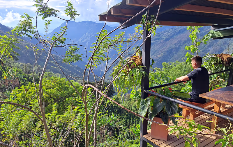 Medellin Private Tour - null