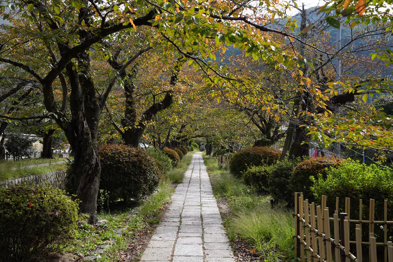 Kyoto Private Tour - Philosopher's Path