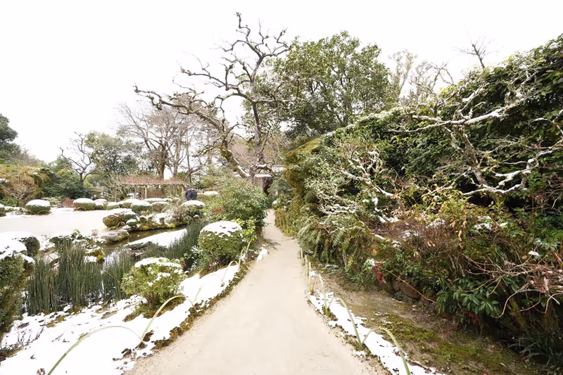 Kyoto Private Tour - Shisendo garden in winter