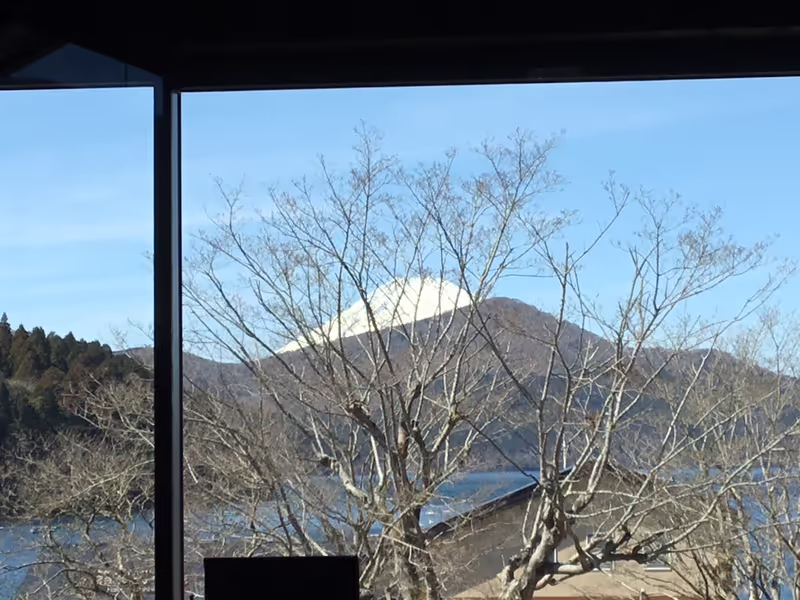 Hakone Private Tour - View from pirate ship