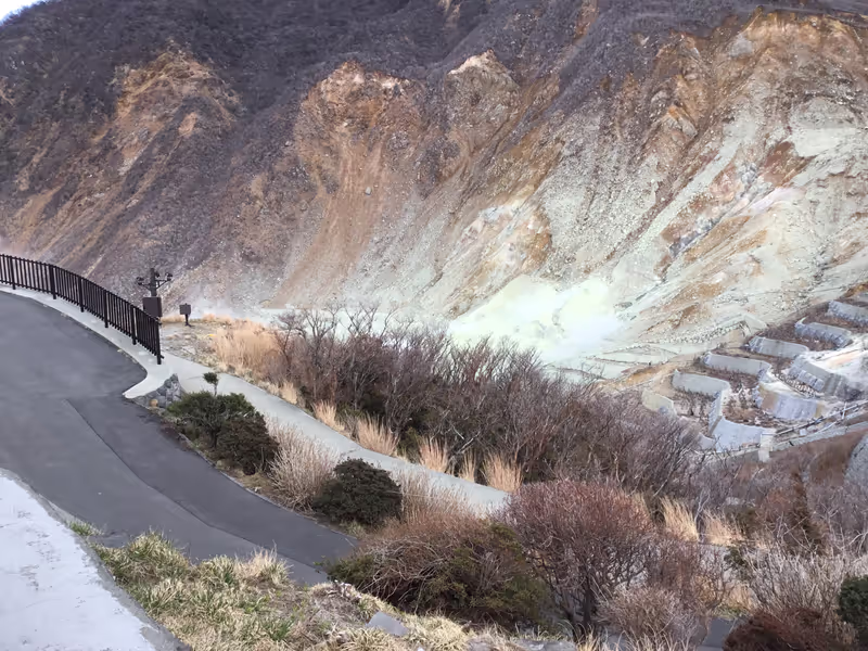 Hakone Private Tour - Volcanic activities in Owakudani