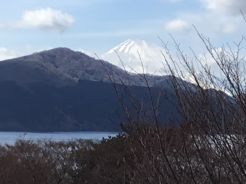 Hakone Private Tour - Hakone Onshi Park with Mt.Fuji Background