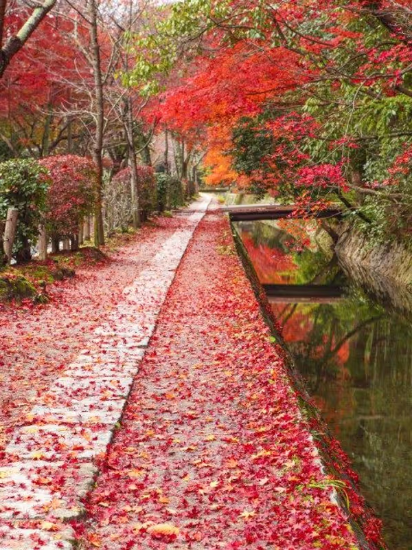 Kyoto Private Tour - Philosopher's Path in Fall